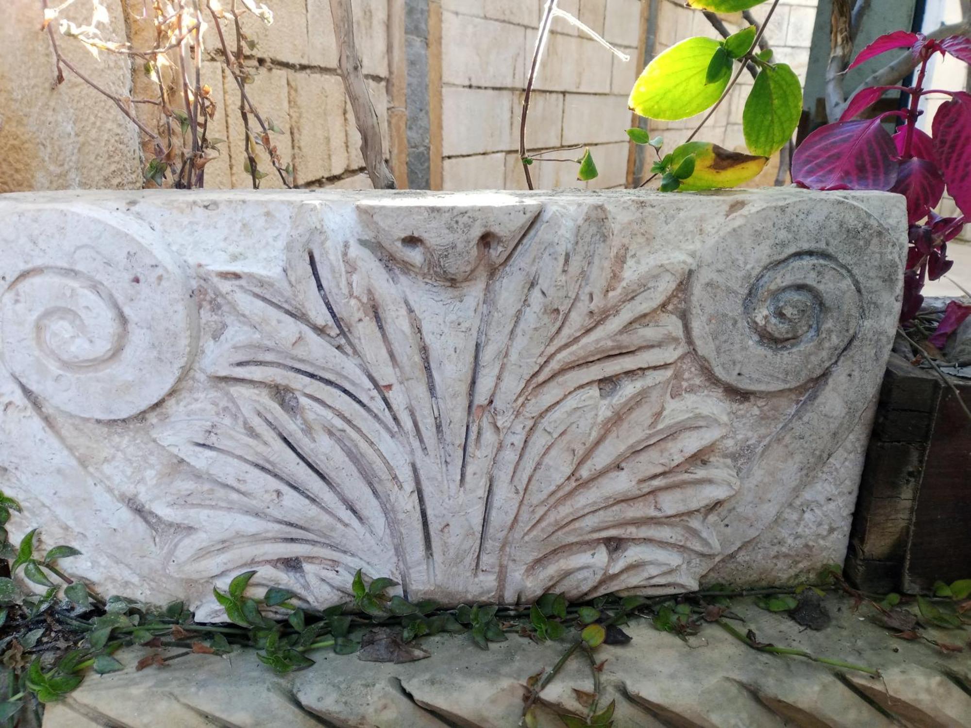 Flower 2 Jarash Exteriör bild